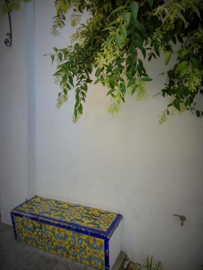 Apartment Alacas Sevilla Ngoại thất bức ảnh