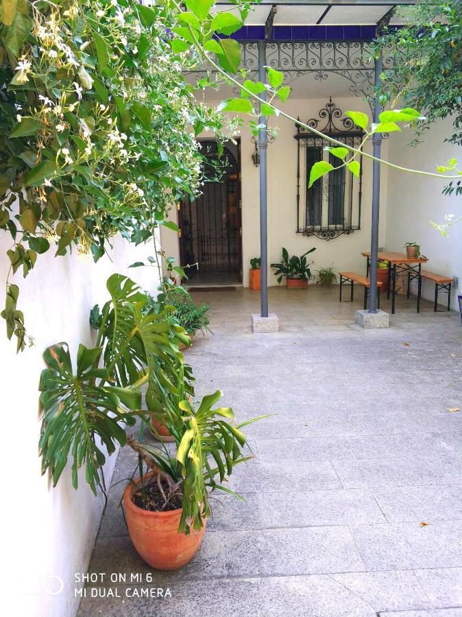 Apartment Alacas Sevilla Ngoại thất bức ảnh