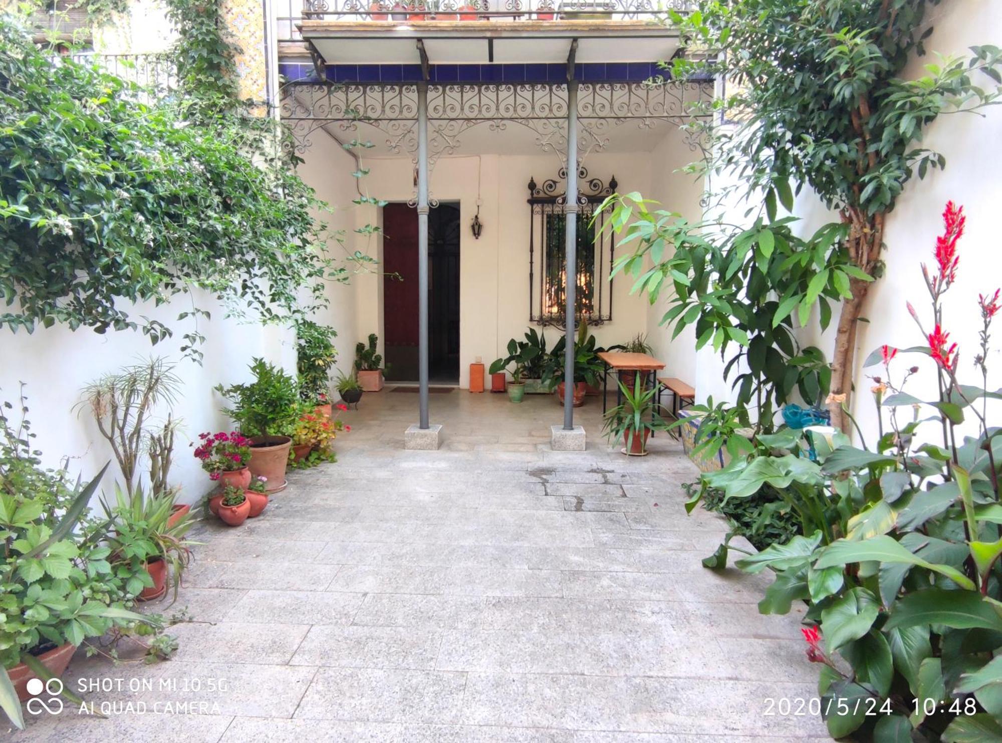 Apartment Alacas Sevilla Ngoại thất bức ảnh